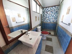 Serangoon Garden Estate (D19), Semi-Detached #593618881